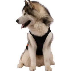 Trepaws Extra Large Dog Jacket Beedle - Black & Burnt Orange