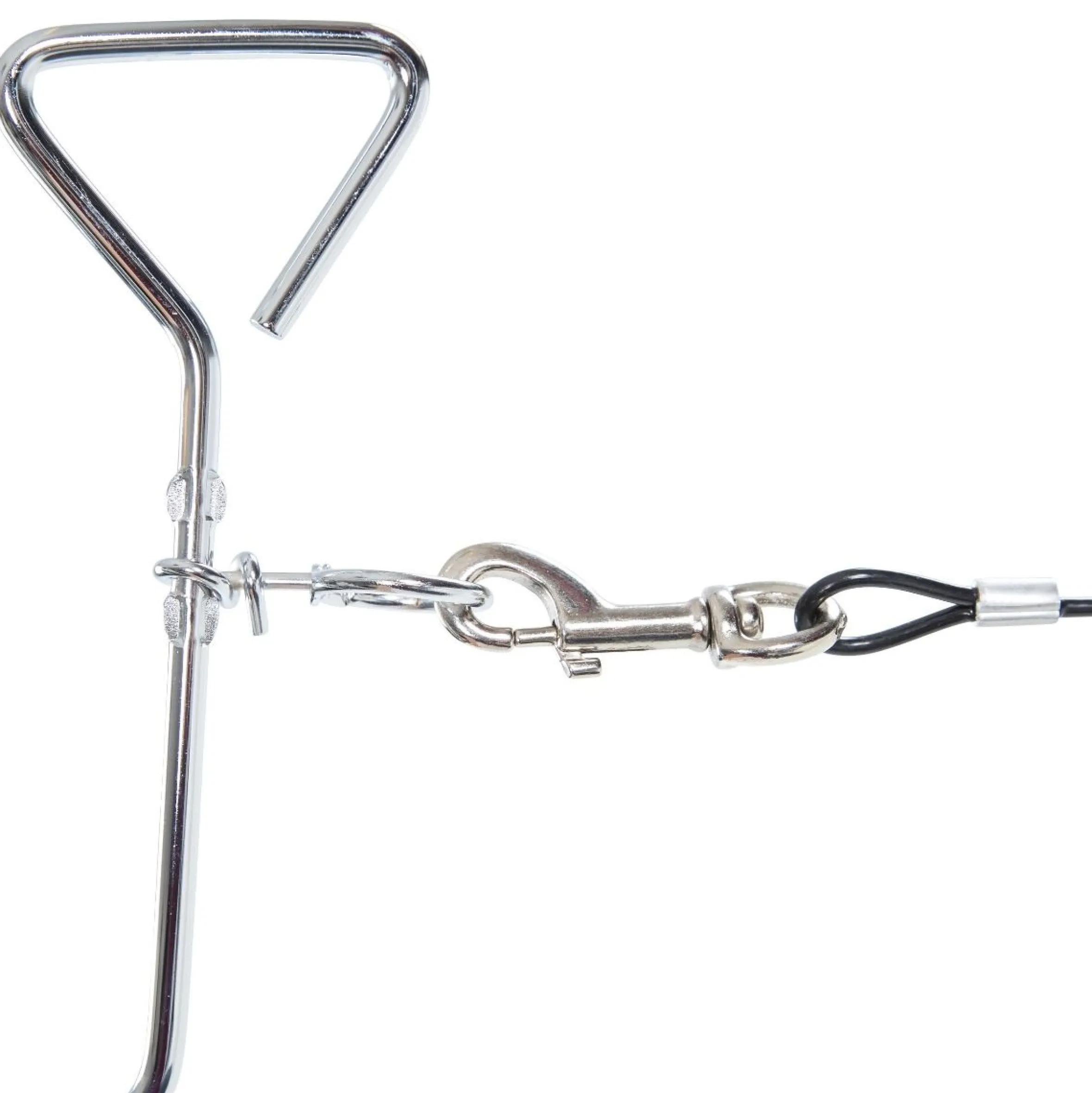 Trespaws Dog Tie Out Stake with Cable Tether