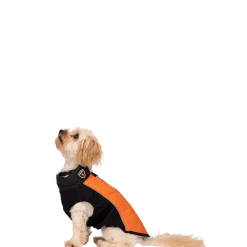 Trespaws Extra Small Dog Jacket Beedle - Black & Burnt Orange