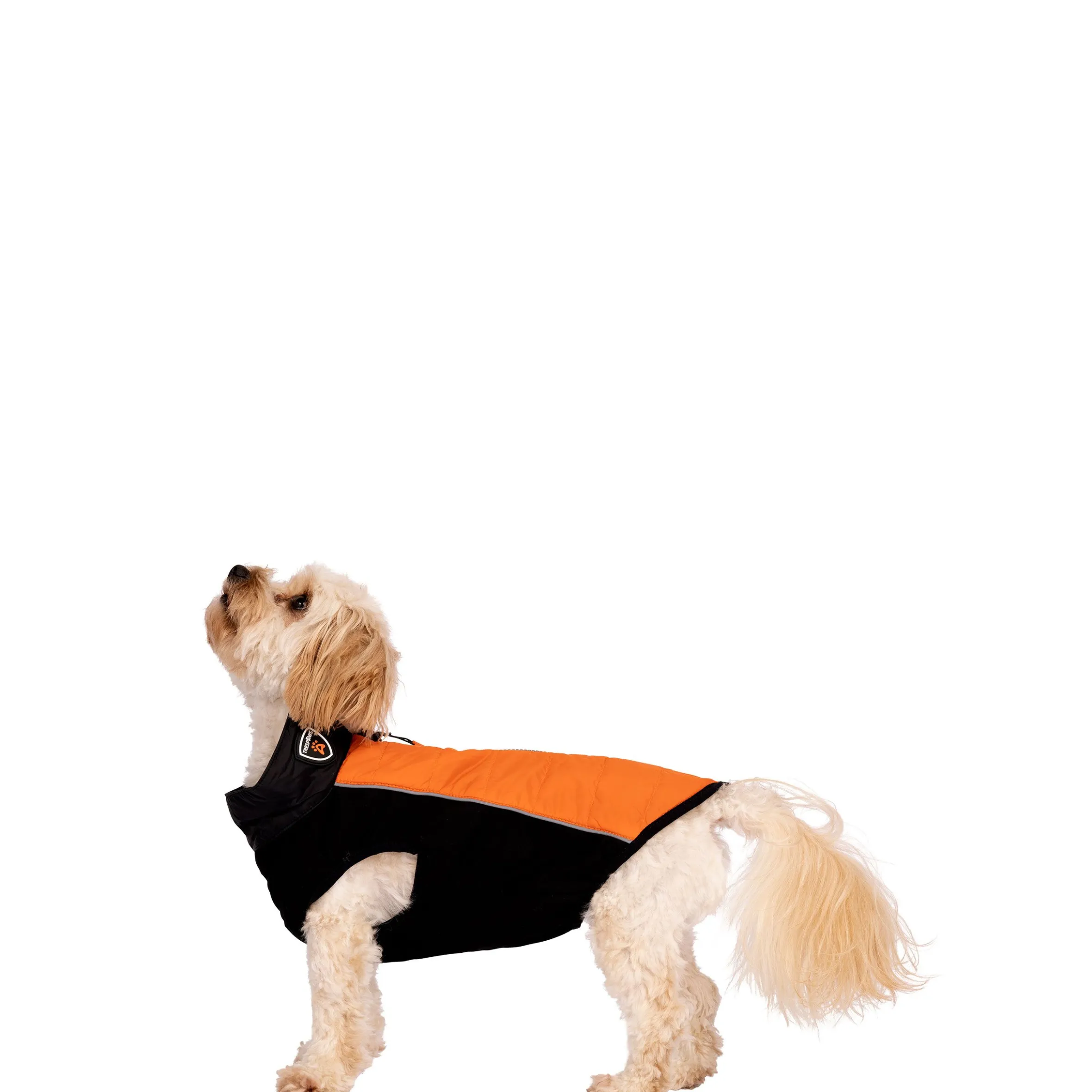 Trespaws Extra Small Dog Jacket Beedle - Black & Burnt Orange