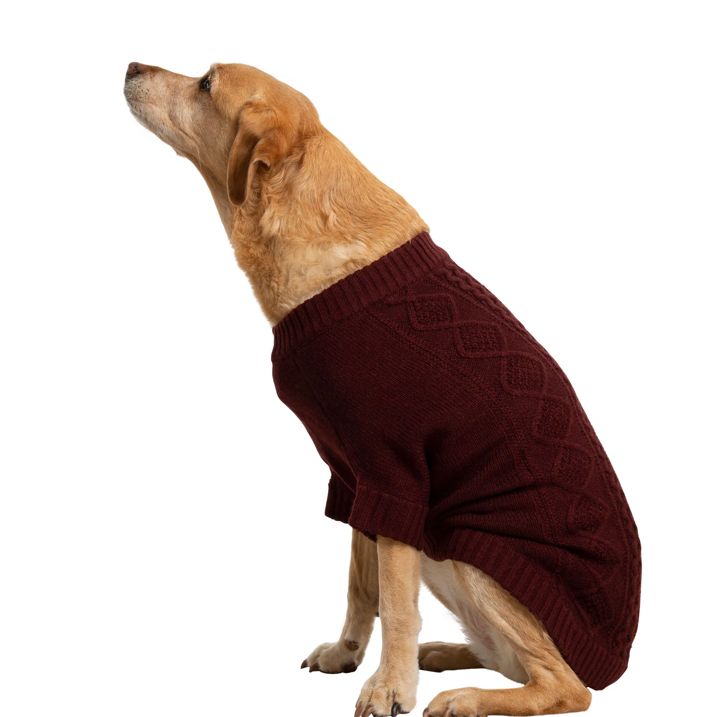 Trespaws Large Dog Jumper Snowhound Merlot
