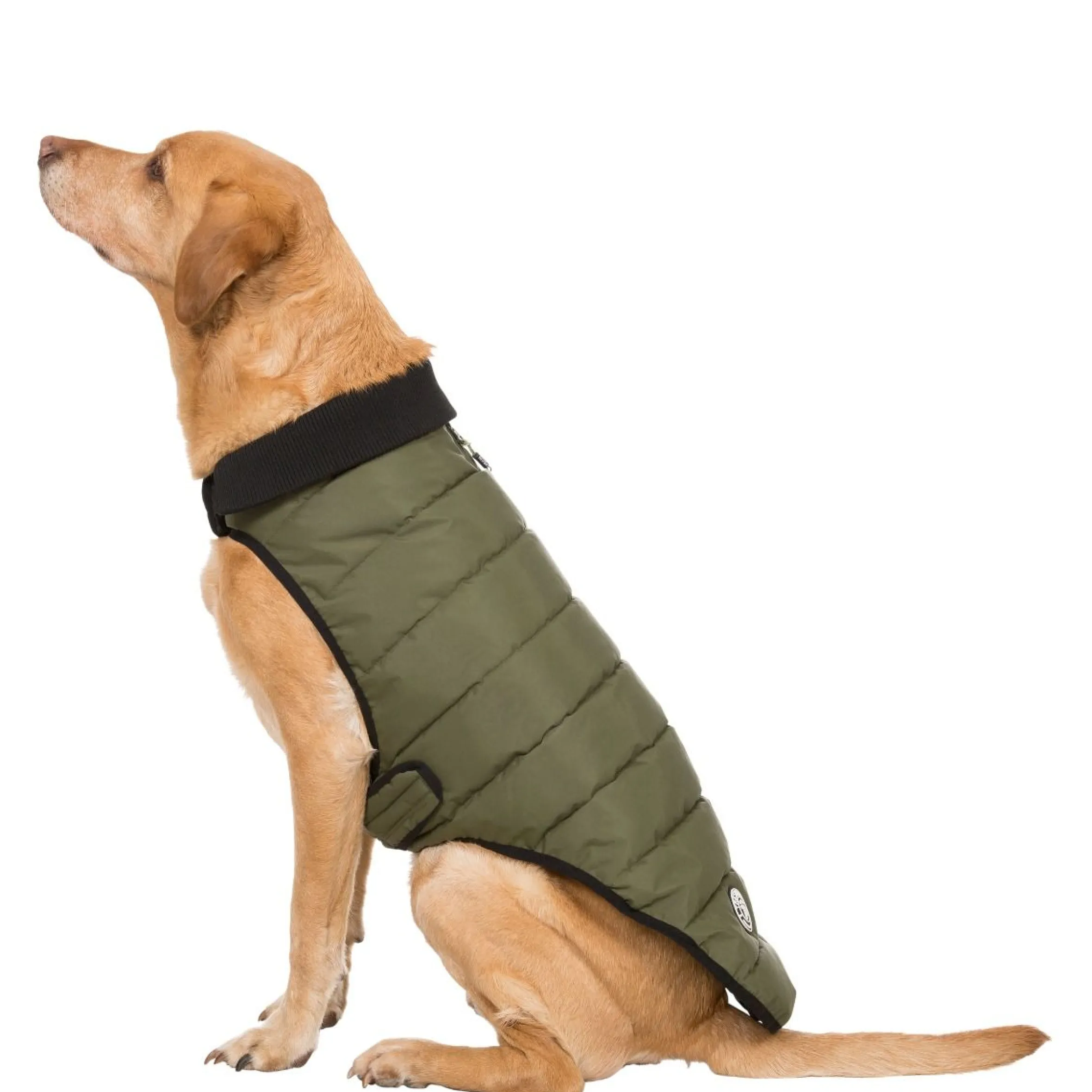 Trespaws Large Eco Friendly Dog Puffer Jacket in Khaki Lloyd