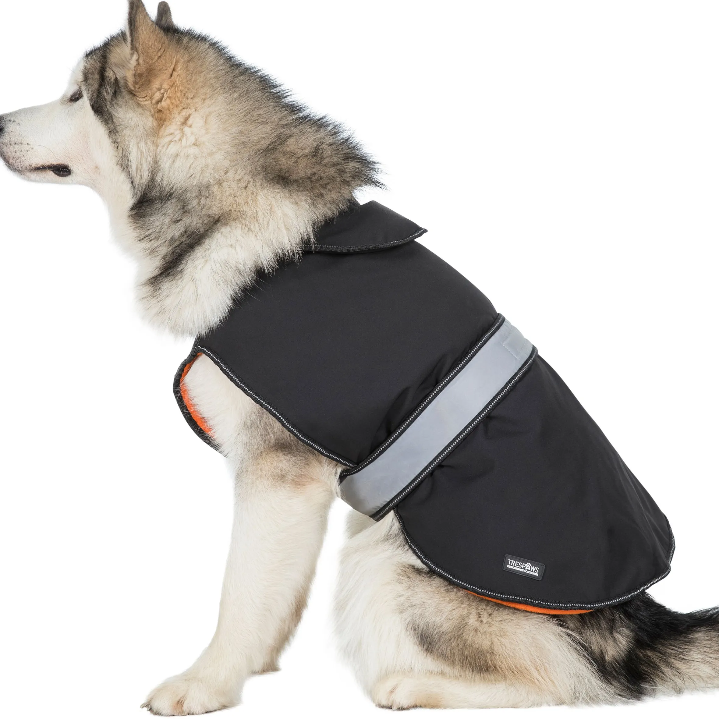 Trespaws Large Softshell dog coat Butch X Black X