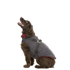 Trespaws Medium 2 in 1 Windproof Dog Coat Hercules