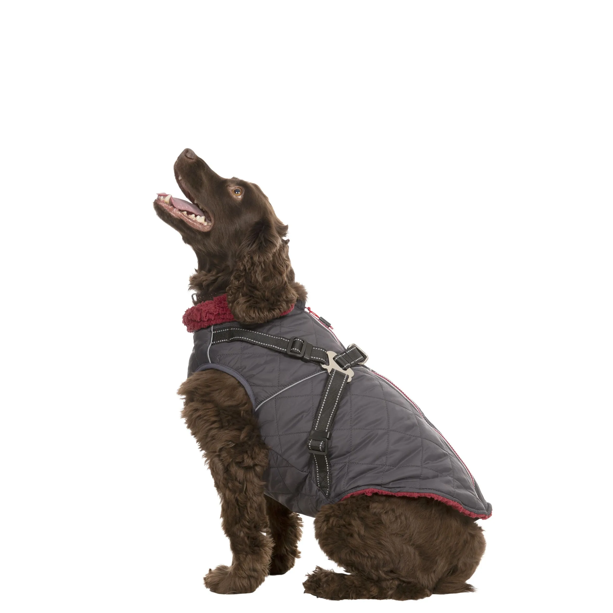 Trespaws Medium 2 in 1 Windproof Dog Coat Hercules