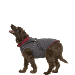 Trespaws Medium 2 in 1 Windproof Dog Coat Hercules