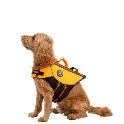 Trespaws Medium Buoyancy Aid in HighVis Surfdog