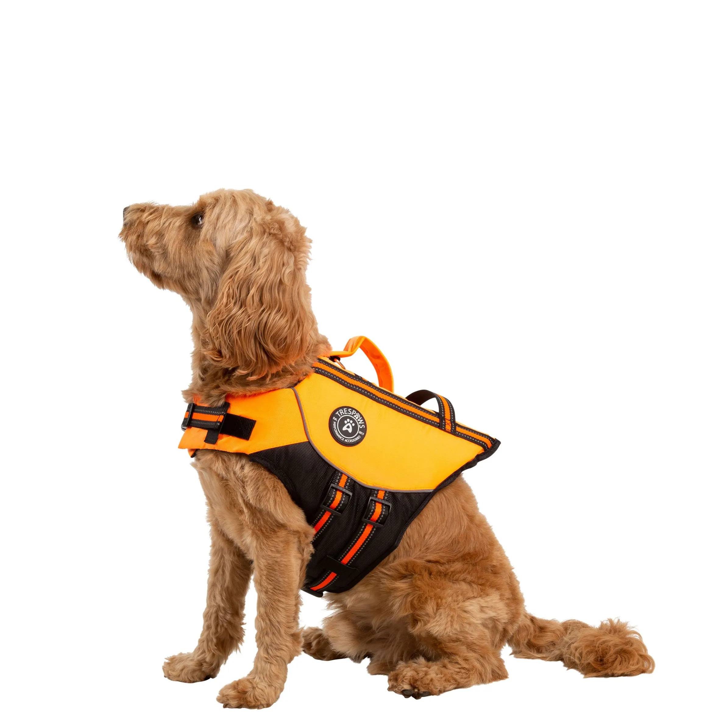 Trespaws Medium Buoyancy Aid in HighVis Surfdog