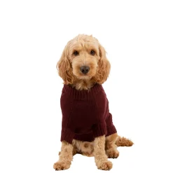 Trespaws Medium Dog Jumper Snowhound