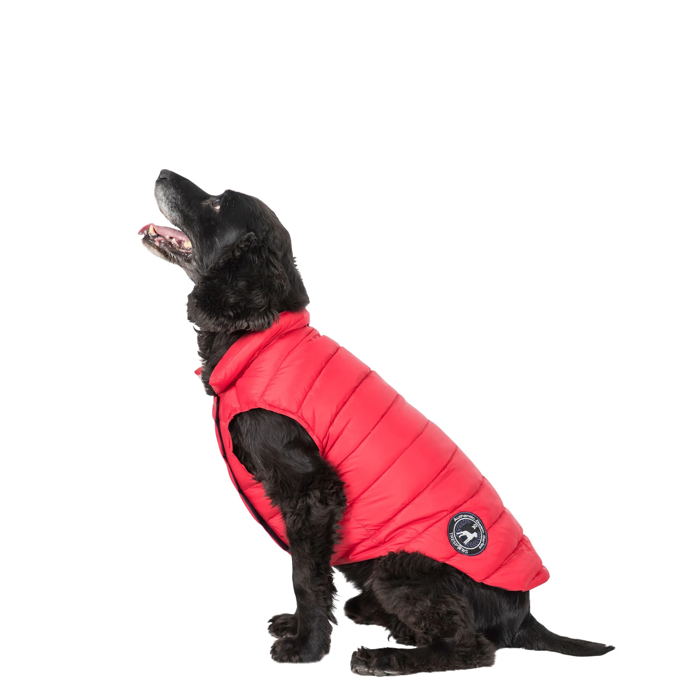 Trespaws Medium Down Dog Jacket in Red Dogby