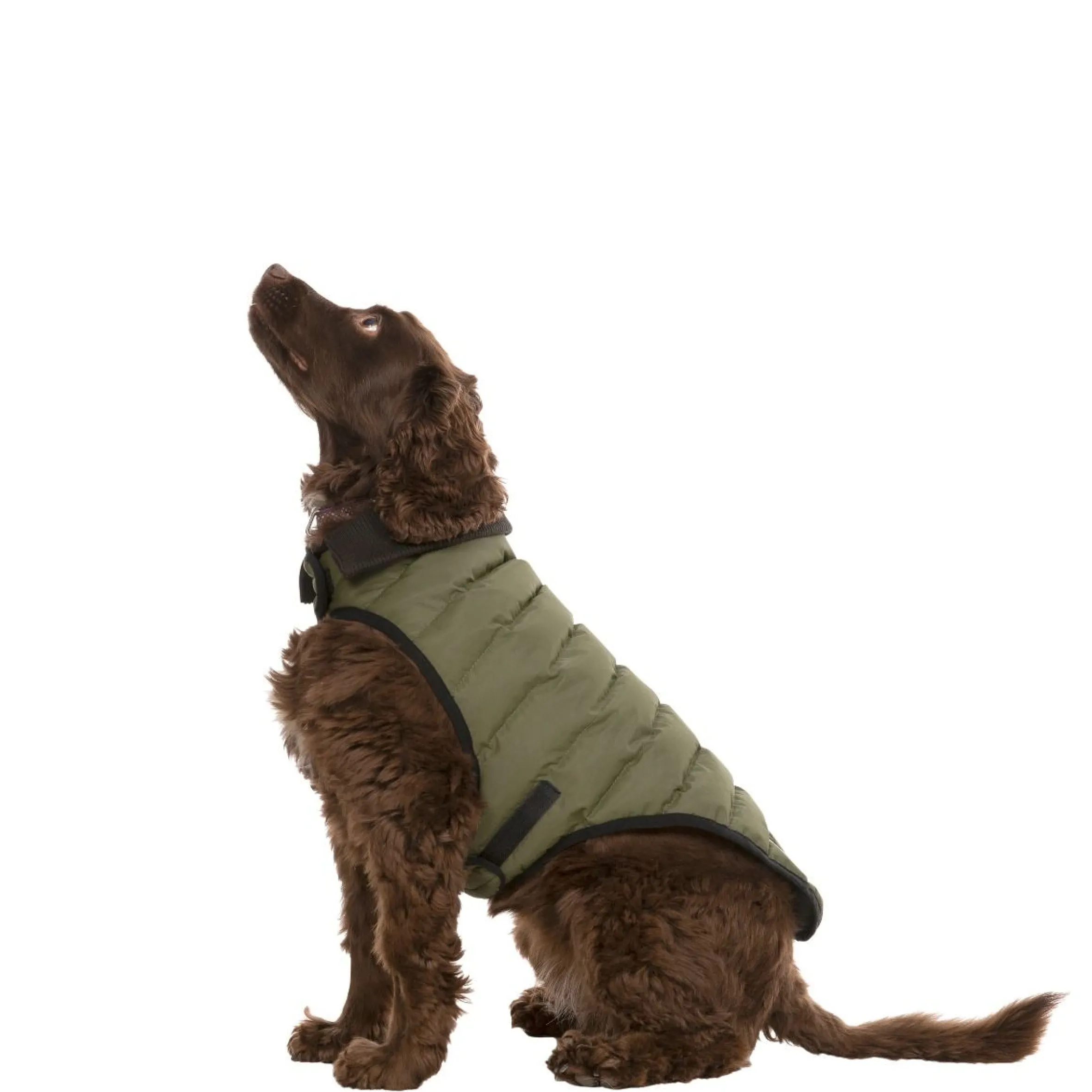 Trespaws Medium Eco Friendly Dog Puffer Jacket in Khaki Lloyd