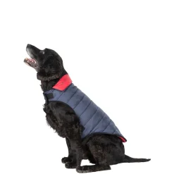 Trespaws Medium Quilted Reversible Packaway Dog Jacket in Flint Kimmi