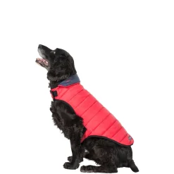 Trespaws Medium Quilted Reversible Packaway Dog Jacket in Flint Kimmi