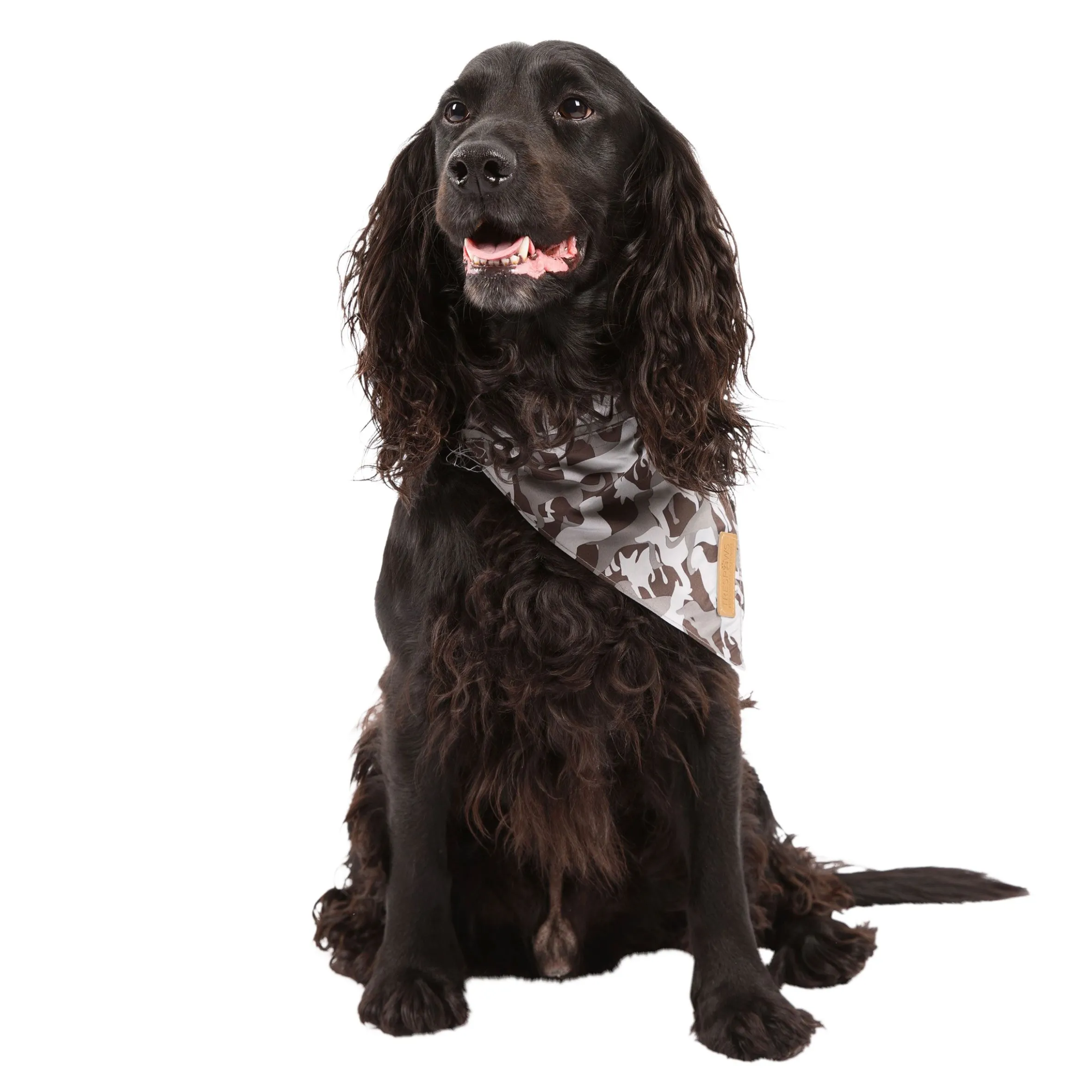 Trespaws M/XL Dog Insect Repellent Bandana in Grey Camo Alpha