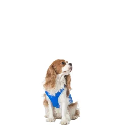 Trespaws Small Dog Cooling Vest in Sapphire Alaska