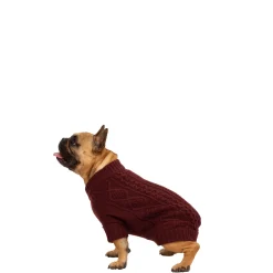 Trespaws Small Dog Jumper in Merlot Snowhound