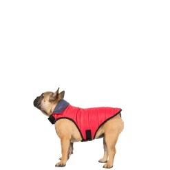 Trespaws Small Quilted Reversible Packaway Dog Jacket in Flint Kimmi