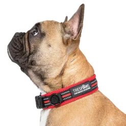 Trespaws Small SCOOBY  DOG COLLAR POSTBOX RED
