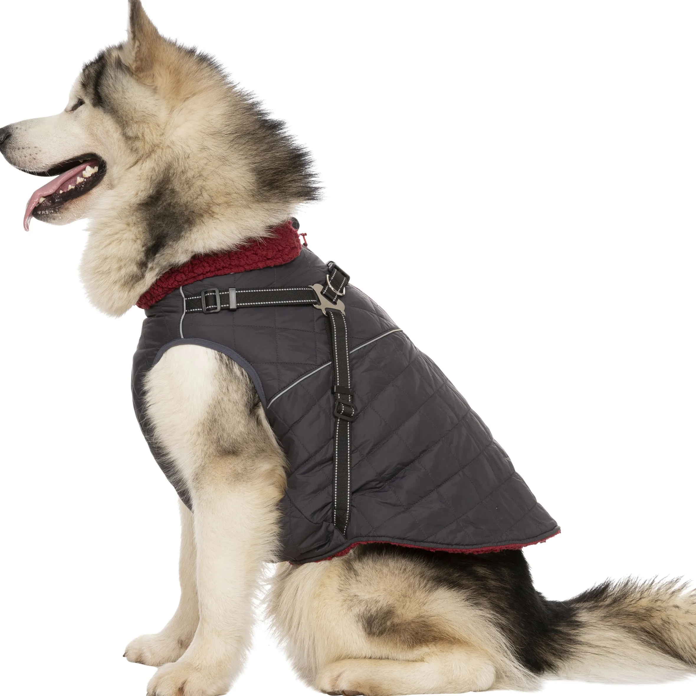 Trespaws XL 2 in 1 Windproof Dog Coat Hercules