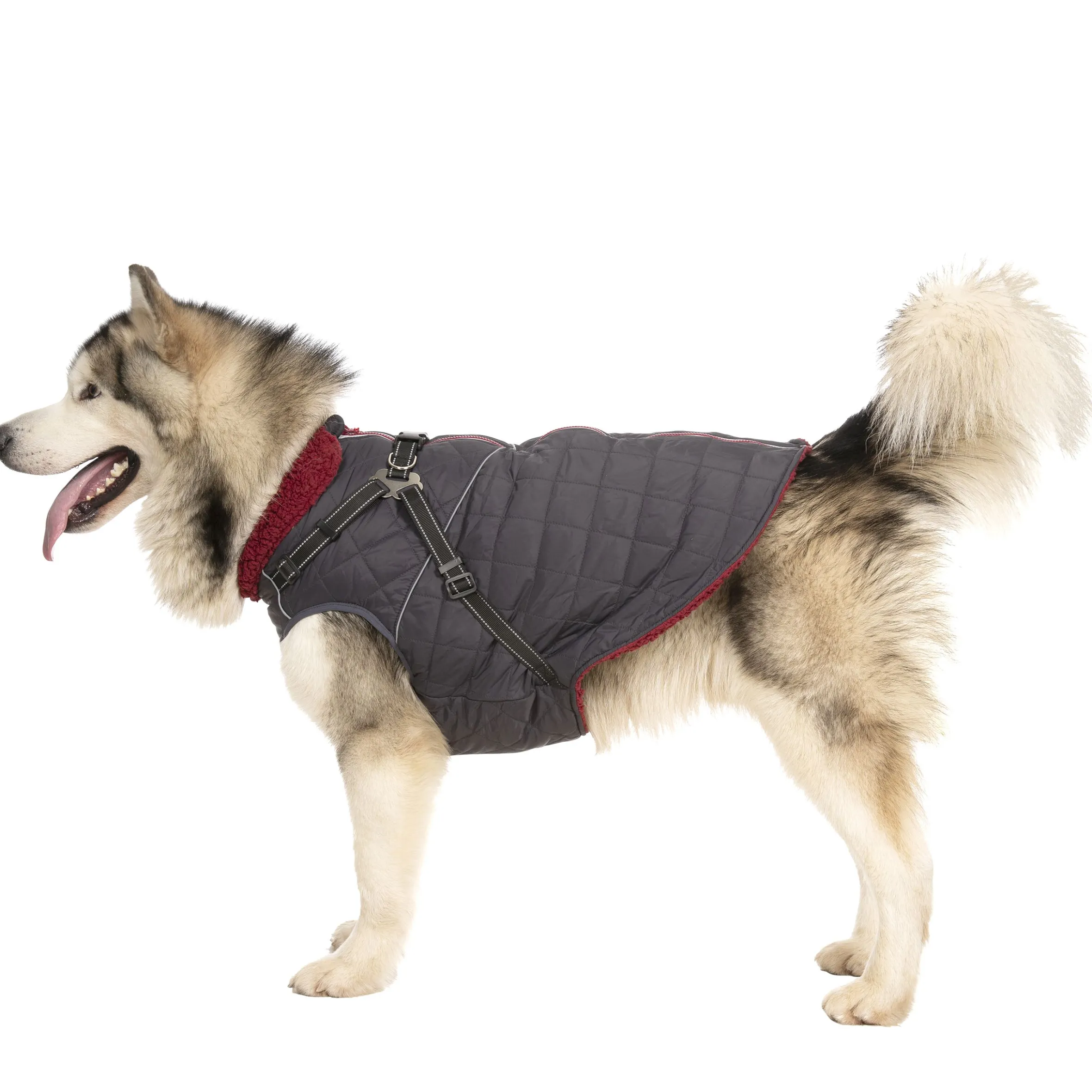 Trespaws XL 2 in 1 Windproof Dog Coat Hercules
