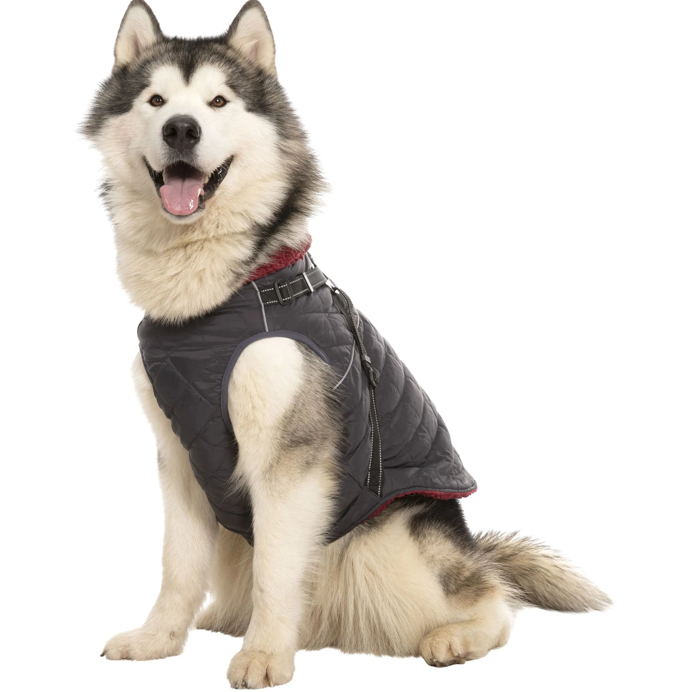 Trespaws XL 2 in 1 Windproof Dog Coat Hercules