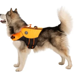 Trespaws XL Buoyancy Aid Surfdog High Vis