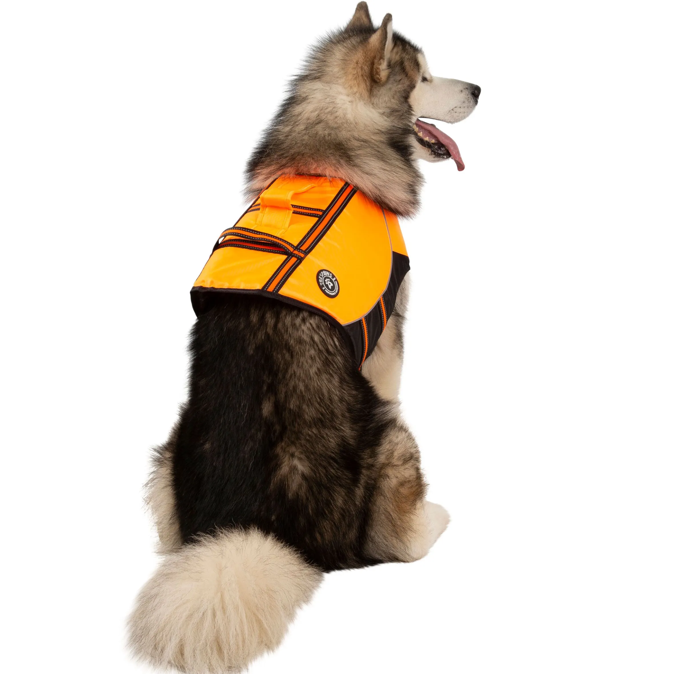Trespaws XL Buoyancy Aid Surfdog High Vis