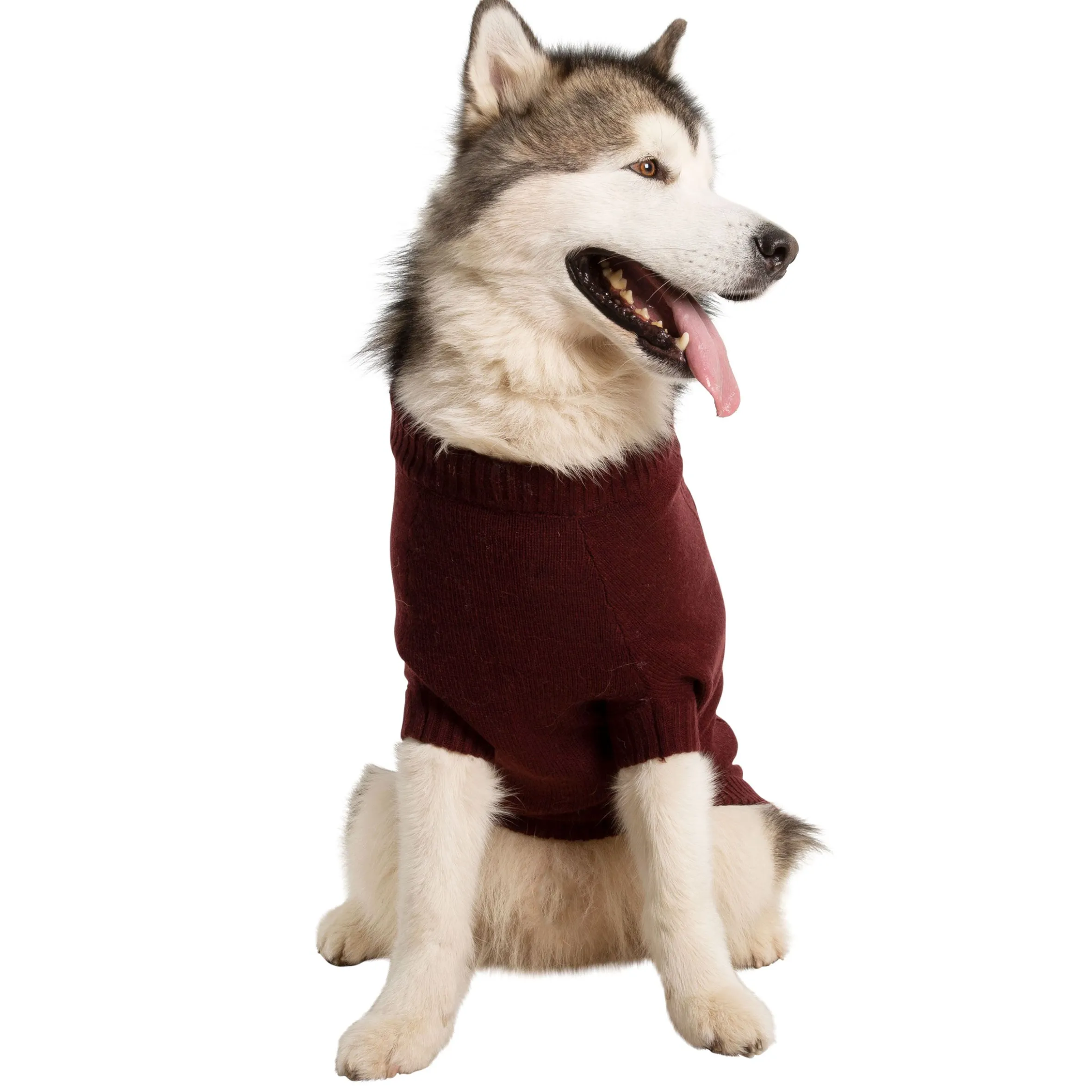 Trespaws XL Dog Jumper Snowhound Merlot