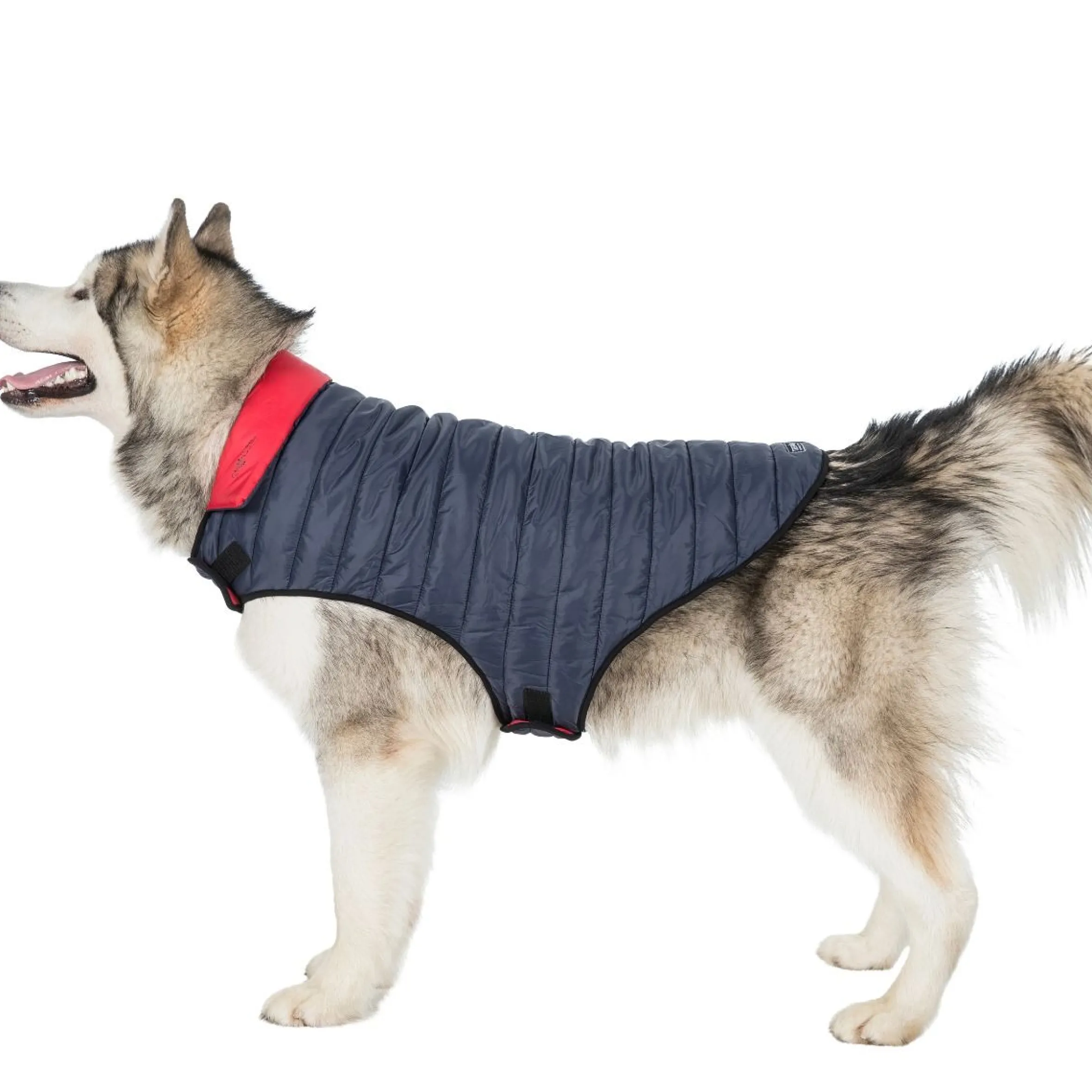 Trespaws XL Quilted Reversible Packaway Dog Jacket in Flint Kimmi