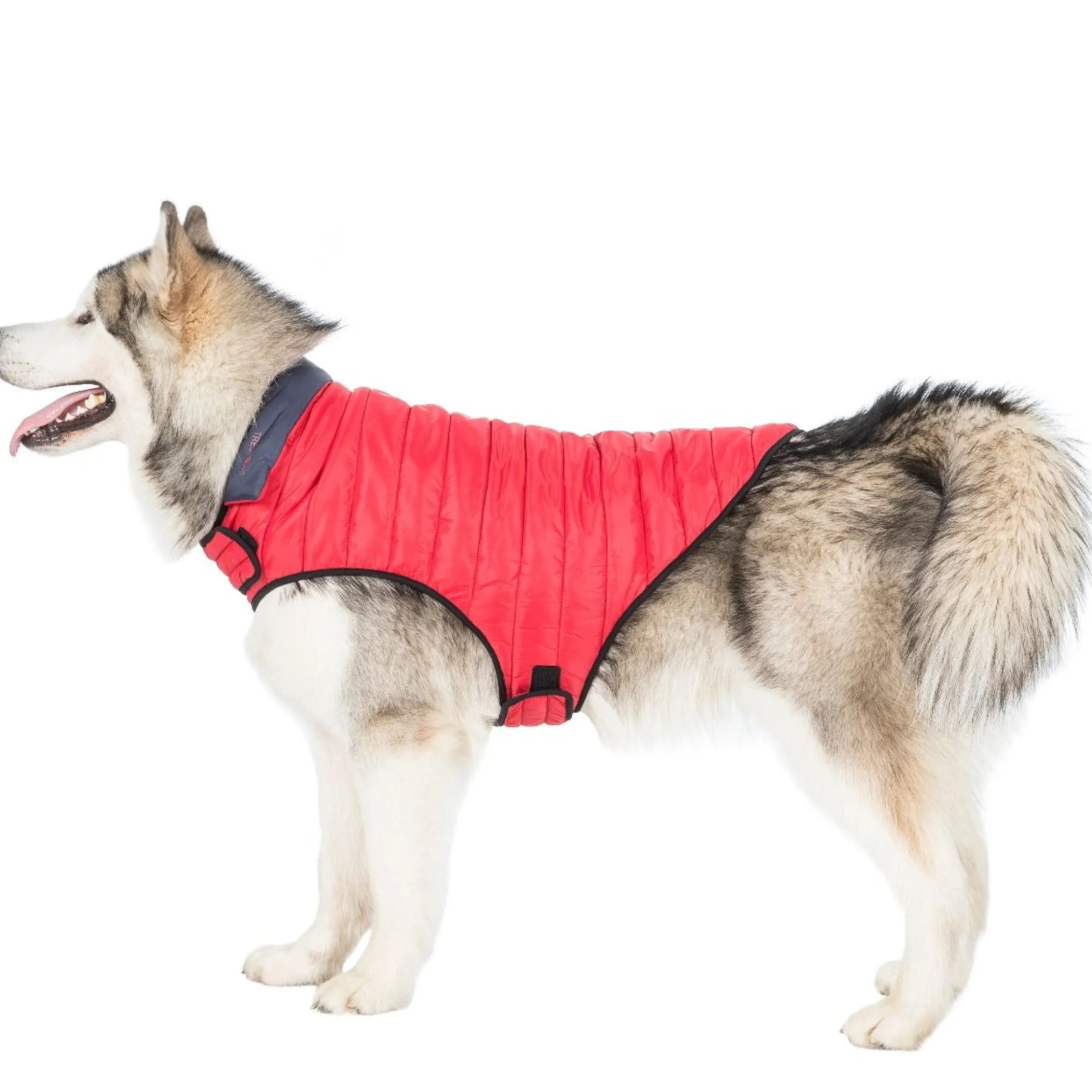 Trespaws XL Quilted Reversible Packaway Dog Jacket in Flint Kimmi