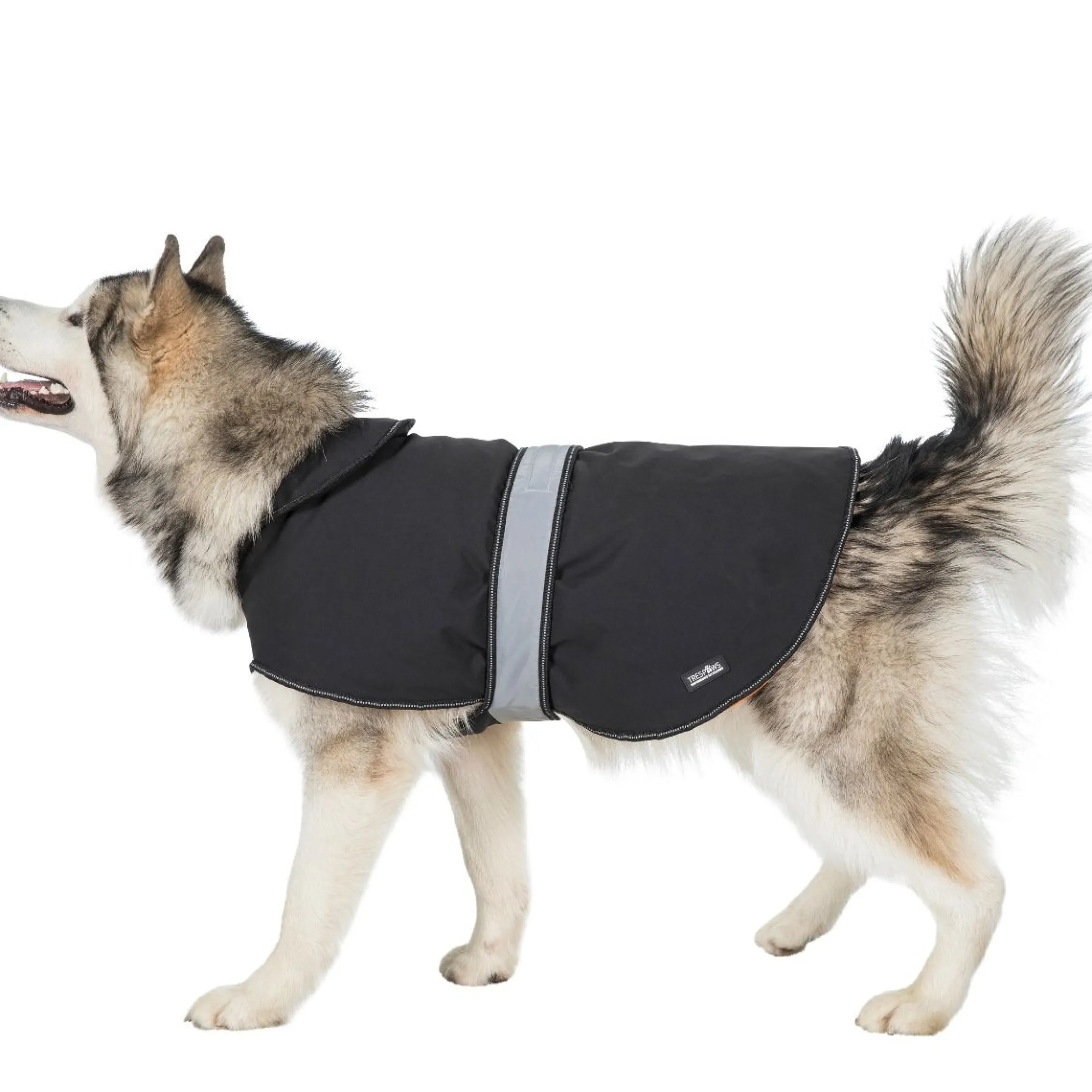 Trespaws XL Softshell dog coat Butch X Black X