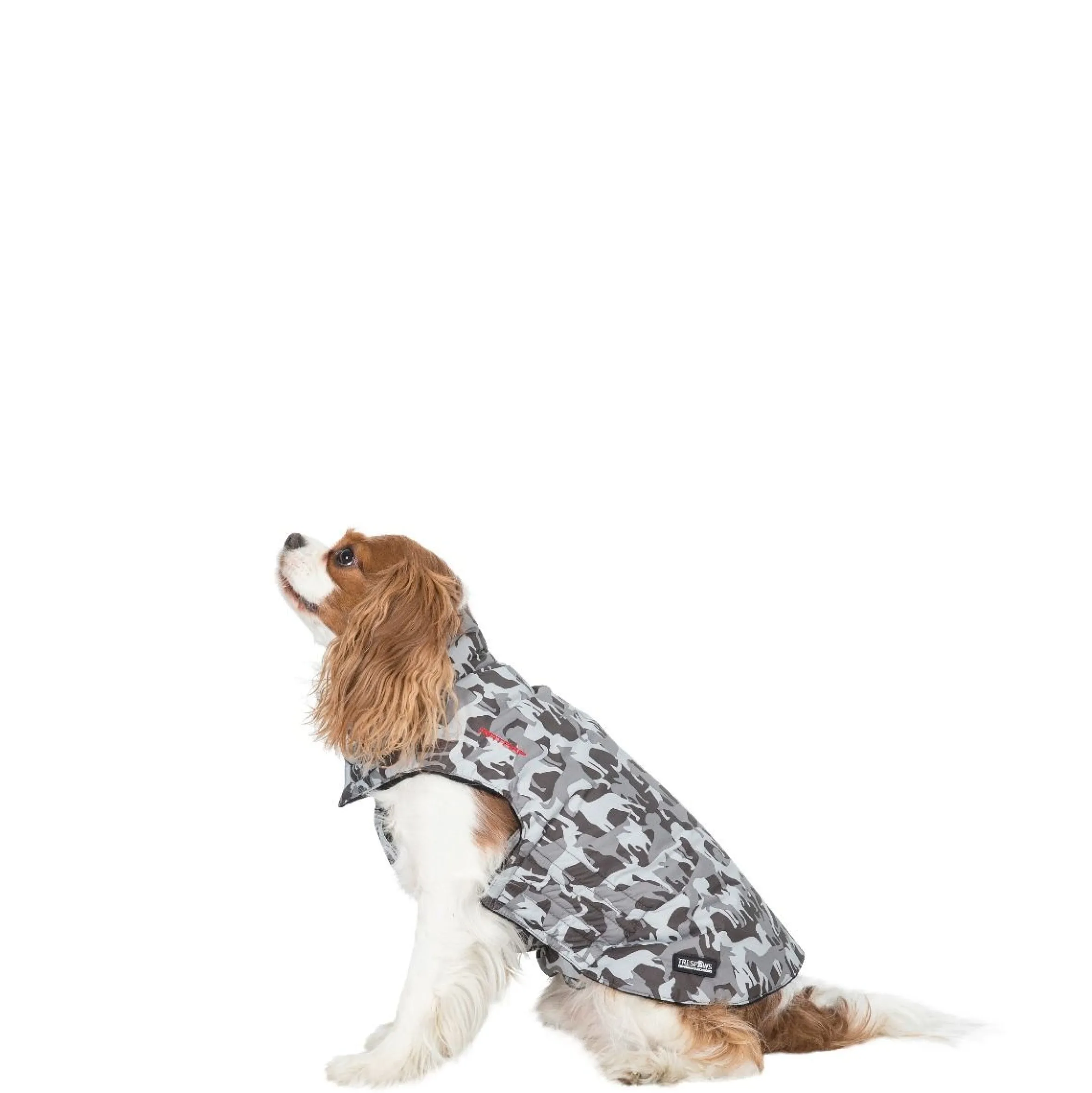 Trespaws XS Camo Dog Printed Raincoat in Grey Charly