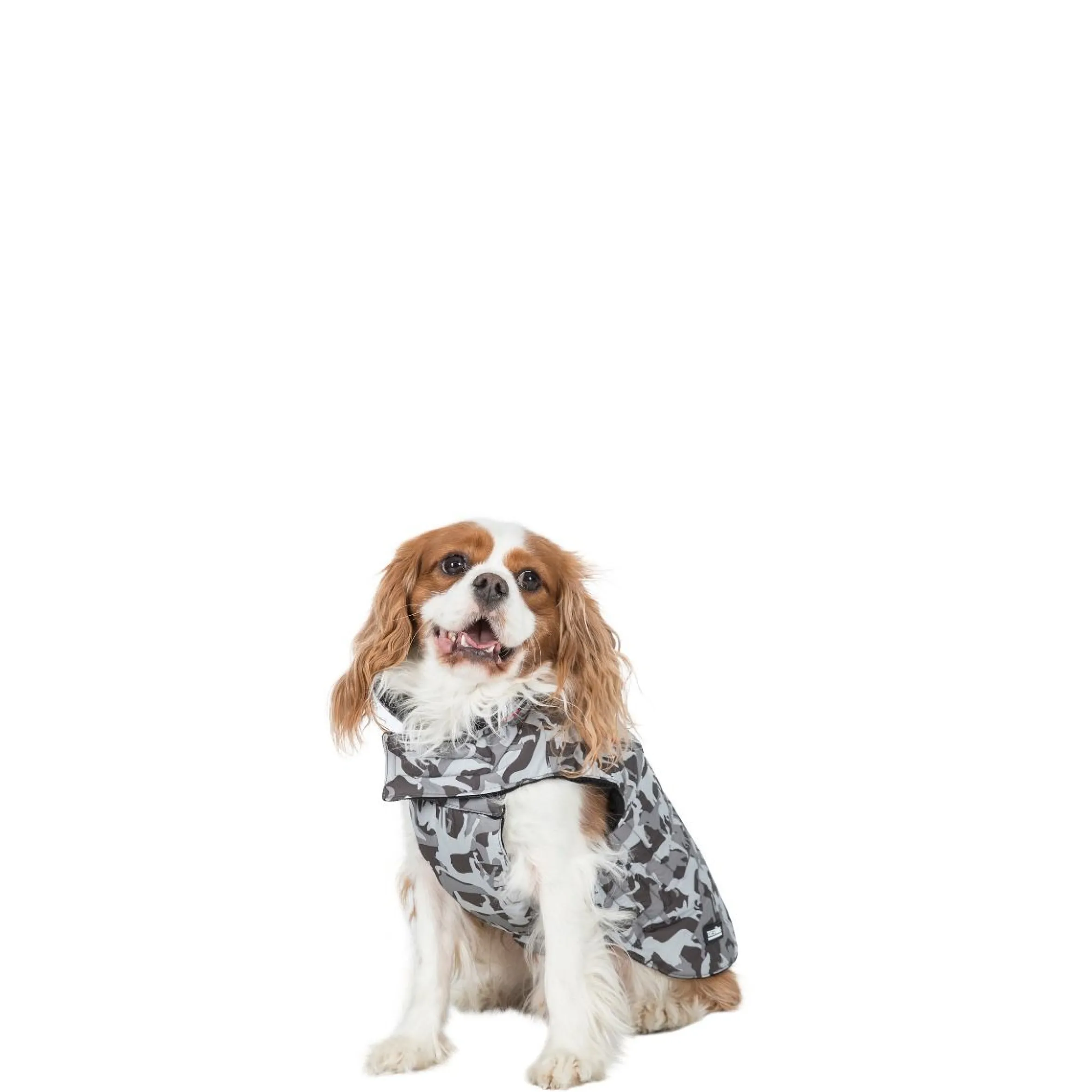 Trespaws XS Camo Dog Printed Raincoat in Grey Charly