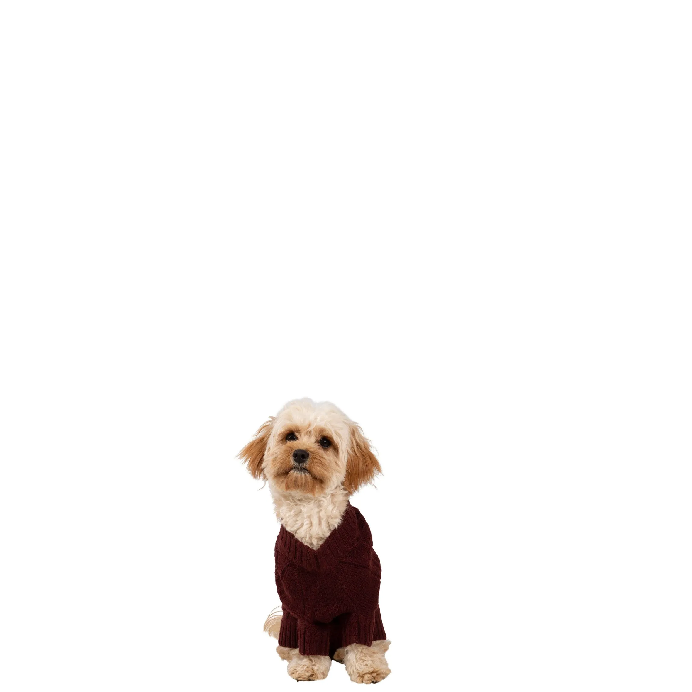 Trespaws XS Dog Jumper Snowhound Merlot