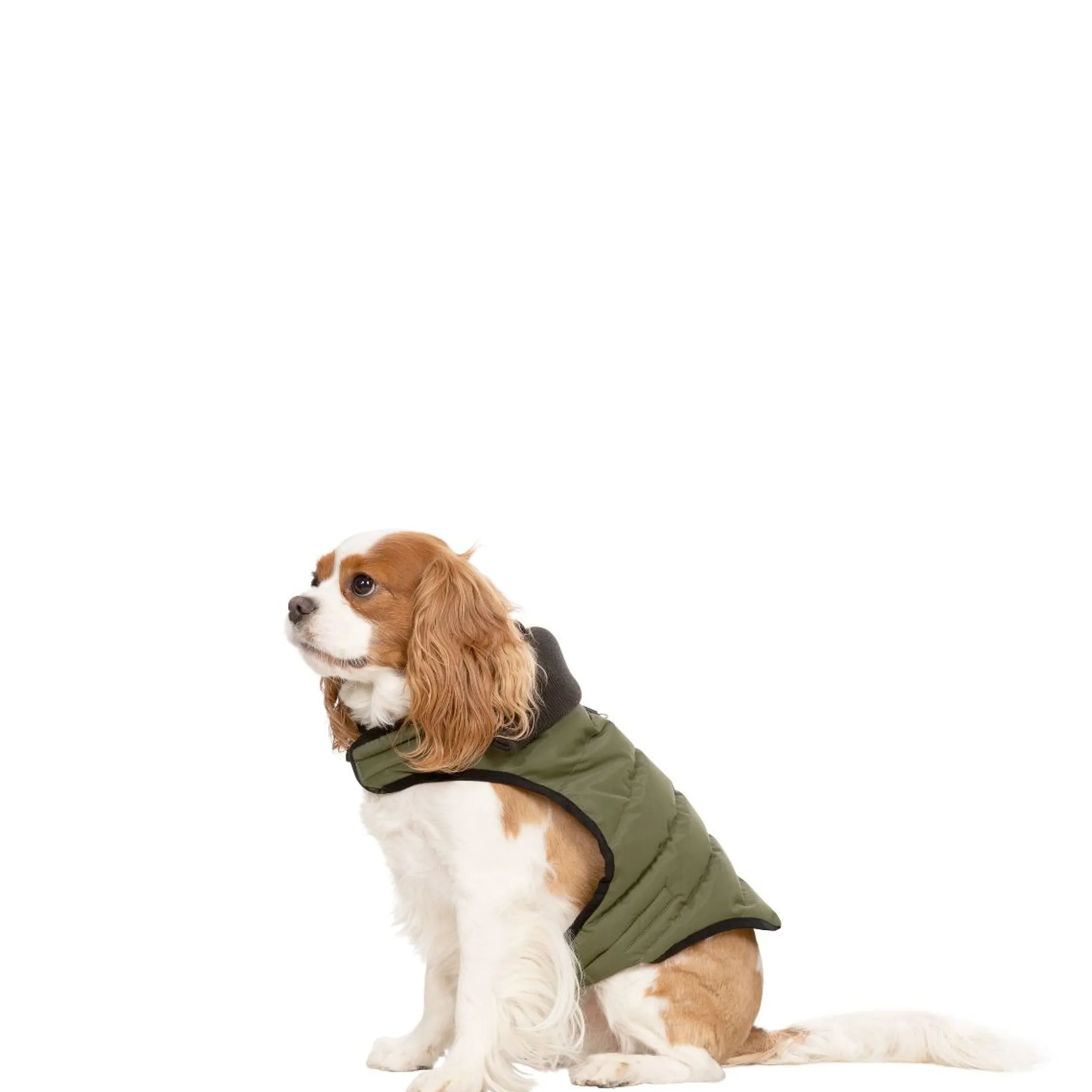 Trespaws XS Eco Friendly Dog Puffer Jacket in Khaki Lloyd