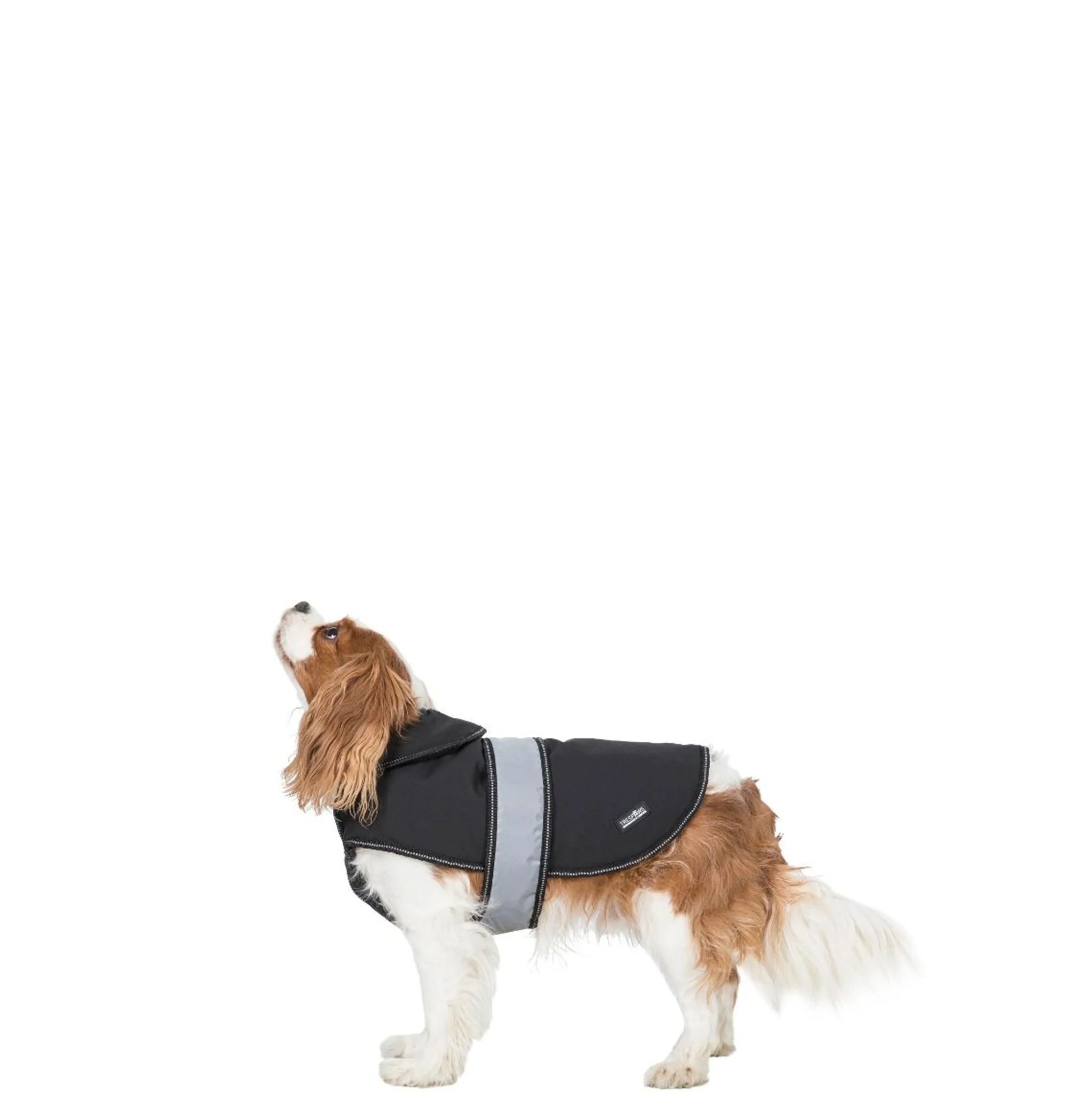 Trespaws XS Softshell dog coat Butch X Black X
