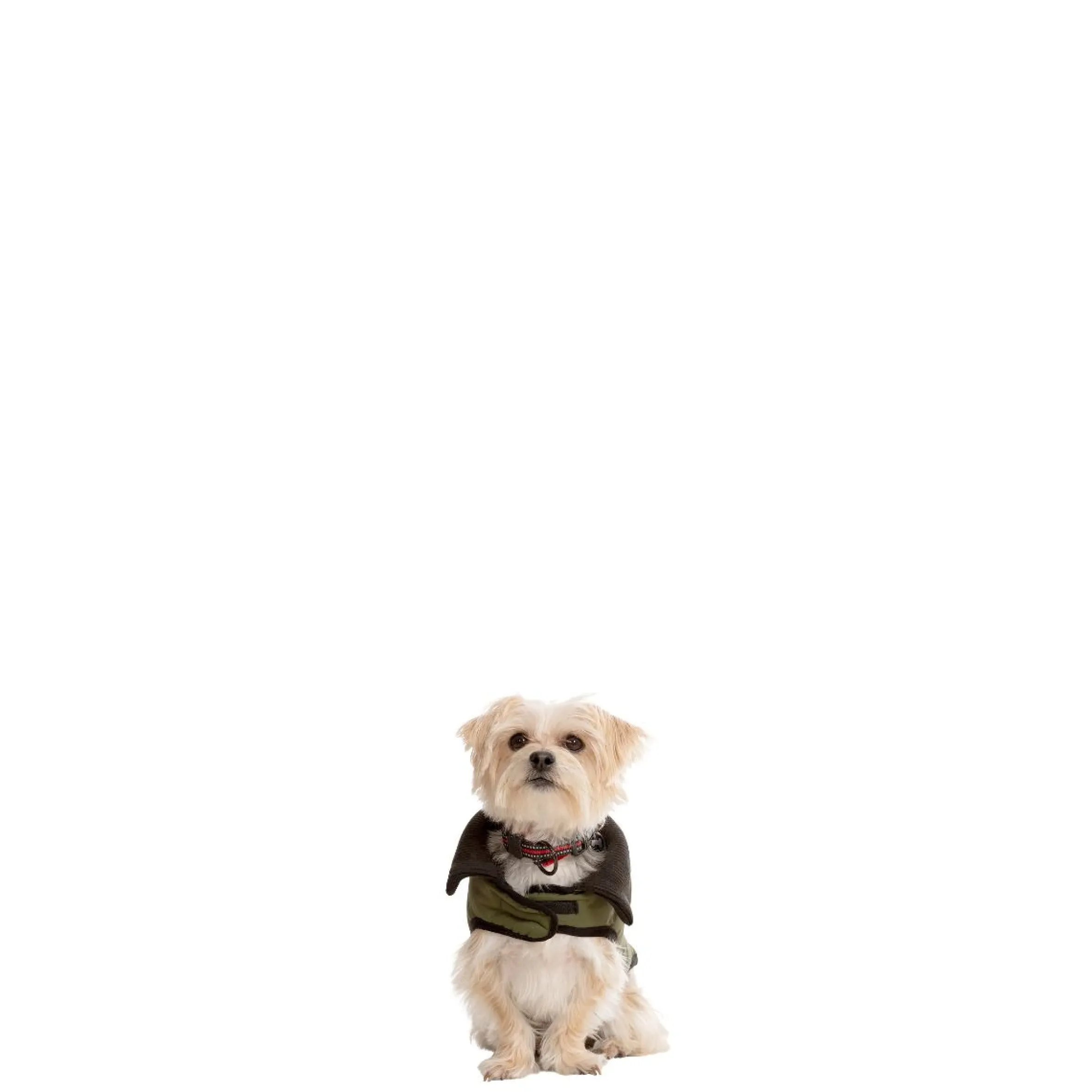 Trespaws XXS Eco Friendly Dog Puffer Jacket in Khaki Lloyd