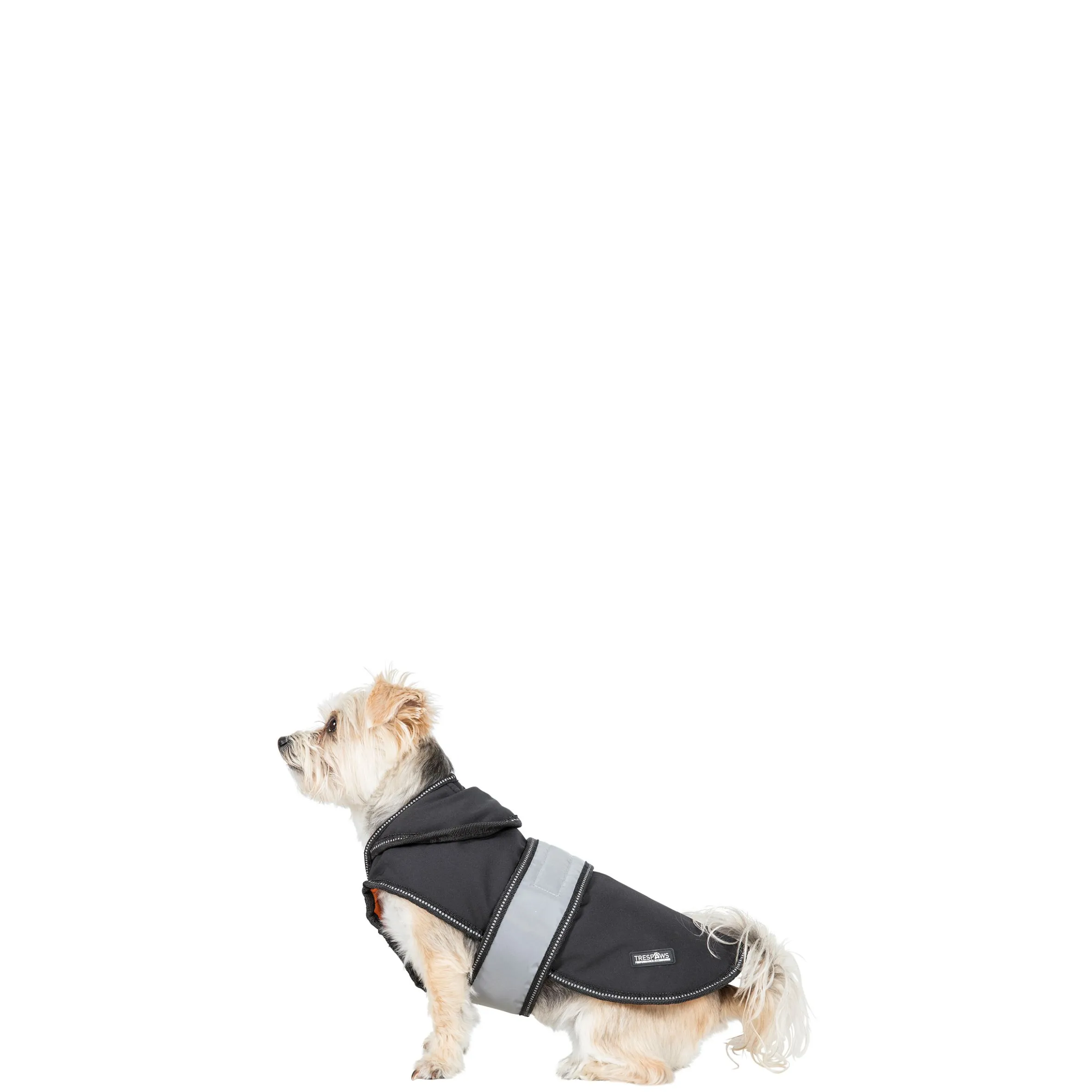 Trespaws XXS Softshell Dog Coat in Black X Butch X