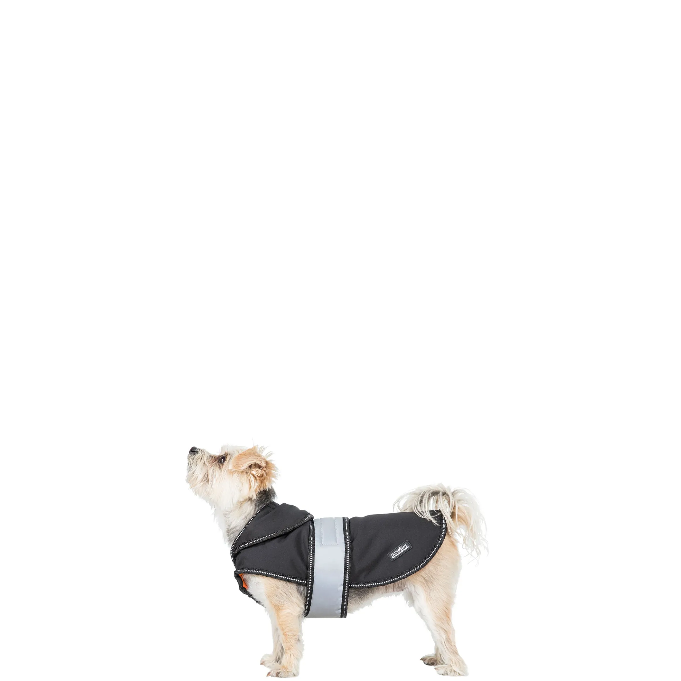 Trespaws XXS Softshell Dog Coat in Black X Butch X