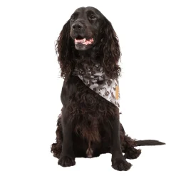 Trespaws XXS/S Dog Insect Repellent Bandana in Grey Camo Alpha